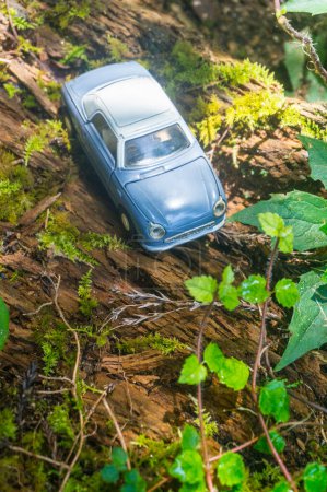 Téléchargez les photos : Modèle de voiture jouet bleu dans la forêt d'été - en image libre de droit