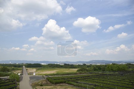 Foto de Vista de la carretera y los campos en un día soleado - Imagen libre de derechos