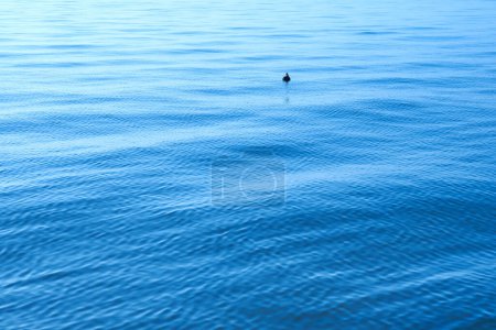 Photo for Water surface with rippled waves. abstract background - Royalty Free Image