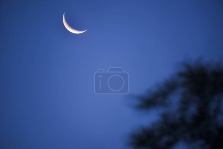 Téléchargez les photos : Lune dans la nuit sur le ciel - en image libre de droit