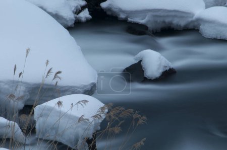 Foto de Un arroyo corriendo a través de un bosque cubierto de nieve - Imagen libre de derechos