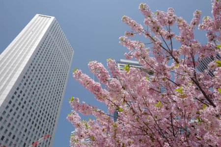 Photo for Beautiful flowers in the garden in bloom against modern city architecture, Japan, Tokyo - Royalty Free Image