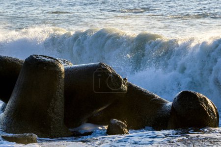 Téléchargez les photos : Vue des vagues de mer s'écrasant sur les tétrapodes - en image libre de droit