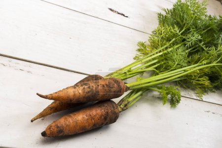 Photo for Fresh carrots on the table, healthy food concept - Royalty Free Image