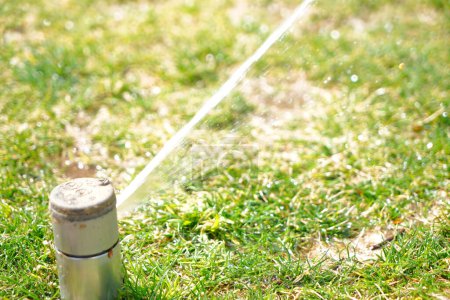 Photo for Sprinkler watering lawn grass in the backyard garden - Royalty Free Image