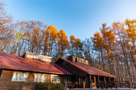 Foto de Hermoso paisaje de campo con gran casa de madera en el bosque de otoño - Imagen libre de derechos