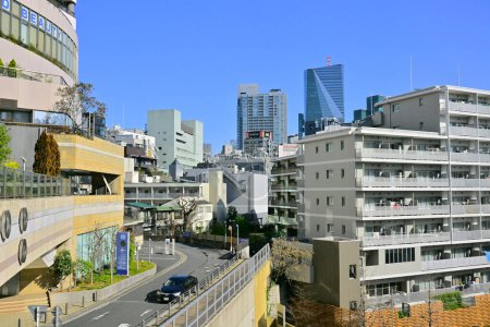 Photo for Tokyo, Japan cityscape at Shinjuku skyscraper district - Royalty Free Image