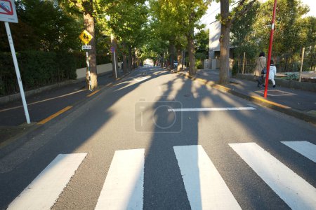 Photo for View of empty pedestrian crossing, zebra painted on road in the city - Royalty Free Image