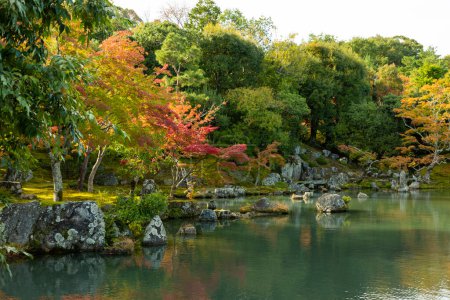 Téléchargez les photos : Un étang avec une formation rocheuse et des arbres en arrière-plan - en image libre de droit