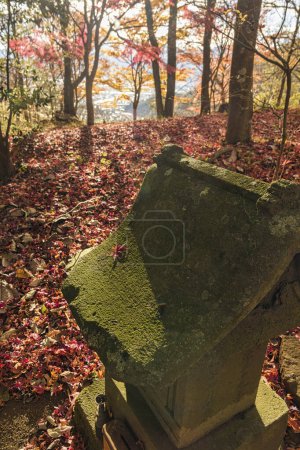 Foto de Otoño en el cementerio viejo, árboles coloridos del otoño, hojas caídas - Imagen libre de derechos