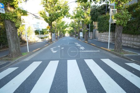 Photo for View of empty pedestrian crossing, zebra painted on road in the city - Royalty Free Image