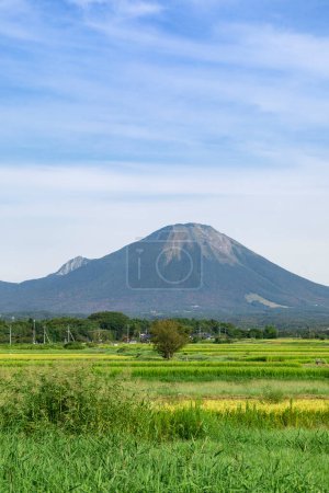 Photo for Beautiful landscape in Fuji mountain and green lawn in Japan - Royalty Free Image