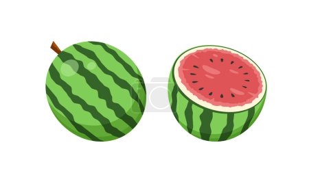 Illustration for Water Melon Fruit Icons Vector Illustration - Royalty Free Image