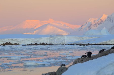 Foto per Paesaggio antartico (terra, mare e cielo)). - Immagine Royalty Free