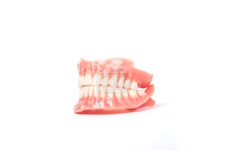 Photo for Dental prostheses on a white background. Beautiful teeth ceramic press ceramic crowns and veneers. Dental restoration treatment clinic patient. Oral surgery dentist - Royalty Free Image