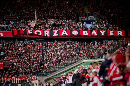Photo for COLOGNE, GERMANY - 3 MARCH, 2024: Fan supporters of Bayer 04 Leverkusen during The football match of Bundesliga 1. FC Koeln vs Bayer 04 Leverkusen at Rhein Energie Stadion - Royalty Free Image