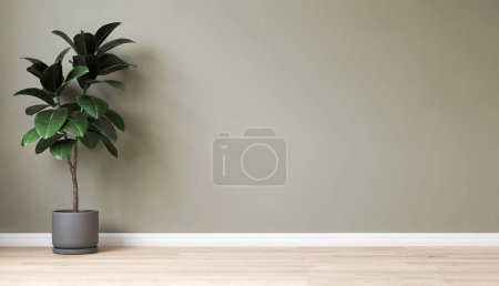 Photo for Clean, blank sage green wall with tropical fiddle leaf fig tree in gray round ceramic pot on brown parquet floor in sunlight for interior design decoration, appliance, furniture product background 3D - Royalty Free Image
