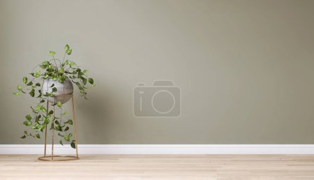 Photo for Clean, blank sage green wall with tropical creeper plant in gray sphere pot on brass stand on brown parquet floor in sunlight for interior design decoration, appliance, furniture product background 3D - Royalty Free Image