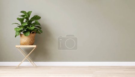 Photo for Clean, blank sage green wall with tropical Indian fig tree in rattan basket, wooden stand on brown parquet floor in sunlight for interior design decoration, appliance, furniture product background 3D - Royalty Free Image