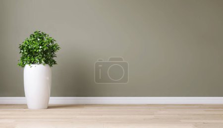 Photo for Clean, blank sage green wall with tropical tree in tall shiny steel pot on brown parquet floor in sunlight for interior design decoration, appliance, furniture product background 3D - Royalty Free Image