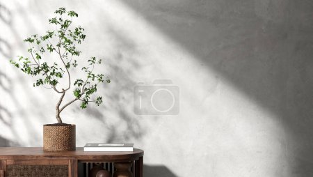 Foto de Hermoso árbol tropical en maceta de canasta de ratán, libro sobre gabinete de madera antigua a la luz del sol, sombra sobre limpio, pared de cemento pulido en blanco para la decoración de diseño de interiores, muebles de fondo del producto 3D - Imagen libre de derechos