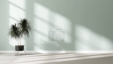 Photo for Blank pastel mint turquoise blue wall, green tropical dracaena tree in pot on steel stand on gray carpet floor in sunlight for luxury interior design decoration, home appliance product background 3D - Royalty Free Image