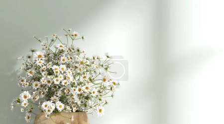 Photo for Fresh beautiful white, yellow chamomile daisy flower bouquet in brown pot in sunlight from window on pastel turquoise green wall for decoration, luxury cosmetic, skincare, beauty product background 3D - Royalty Free Image
