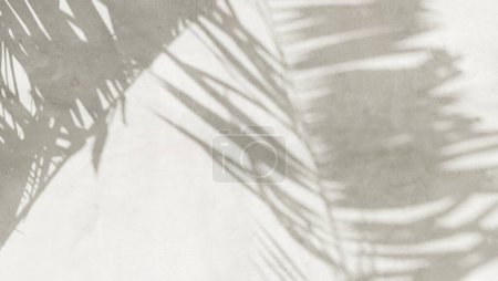 Foto de Cerca de la textura de la pared de cemento pulido gris, hermosa luz del sol, sombra de follaje de hojas de palmera tropical. Belleza de lujo, moda, cosméticos, cuidado de la piel, decoración de diseño de interiores material de fondo 3D - Imagen libre de derechos