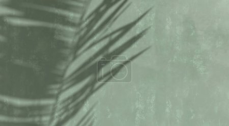 Téléchargez les photos : Gros plan du mur de ciment vert mat altéré, belle lumière du soleil, feuille de palmier tropical ombre feuillage. Beauté de luxe, mode, cosmétique, soins de la peau, décoration d'intérieur fond matériel de décoration 3D - en image libre de droit