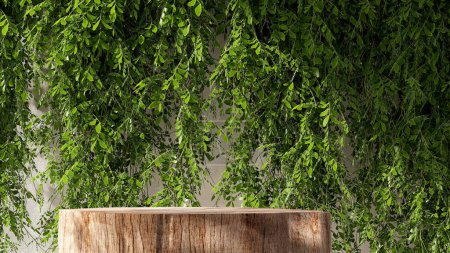 Foto de Mesa de podio de madera de tronco natural mínima, follaje de rama de árbol colgante tropical a la luz del sol en la pared de estuco beige para cosméticos orgánicos, cuidado de la piel, tratamiento de belleza fondo del producto 3D - Imagen libre de derechos