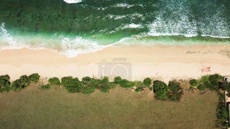 Photo for Aerial top-down view of a family with a dog walking along the beach by the ocean. Unrecognizable silhouettes of a married couple with a dog walking at sunset by the ocean. Family vacation. - Royalty Free Image