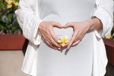 Téléchargez les photos : Vue rapprochée du ventre d'une femme enceinte, qui plie ses mains sur son ventre en forme de cœur et tient une fleur dans sa main. Coeur sur le fond d'un ventre de femme enceinte. - en image libre de droit