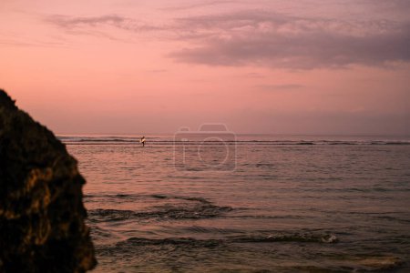 Foto de Surfista viene del océano con una tabla de surf durante la puesta del sol, el cielo es de color rosa. Silueta irreconocible de un surfista masculino que camina después de surfear hacia la playa con una tabla. - Imagen libre de derechos