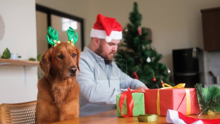 Téléchargez les photos : Un homme et un chien de récupération d'or portant des bois de renne de Noël emballent des cadeaux pour Noël et le Nouvel An. Sur la table se trouvent du papier d'emballage, des rubans et des jouets pour le sapin de Noël. Chien drôle. - en image libre de droit