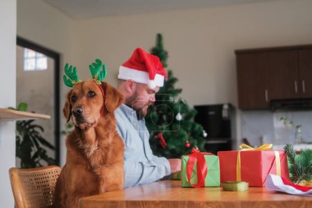 Téléchargez les photos : Un homme et un chien de récupération d'or portant des bois de renne de Noël emballent des cadeaux pour Noël et le Nouvel An. Sur la table se trouvent du papier d'emballage, des rubans et des jouets pour le sapin de Noël. Chien drôle. - en image libre de droit