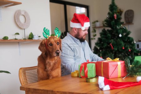 Foto de Un hombre con un sombrero de Papá Noel y un perro recuperador de oro en una diadema con astas de ciervo empaquetan regalos para Navidad y Año Nuevo, con el telón de fondo de un árbol de Navidad. Decoraciones de Navidad y preparar - Imagen libre de derechos