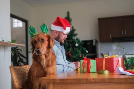 Photo for A Golden Retriever dog in a Christmas costume with deer antlers helps his owner pack gifts for the family for Christmas and New Year. Preparing for the Christmas holiday and wrapping gifts. - Royalty Free Image