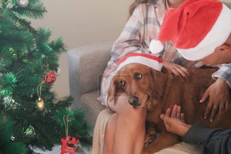 Photo for Christmas dog celebrates New Year with family. A family in Christmas outfits sits in the living room on the sofa near the Christmas tree and pets a golden retriever dog wearing a Santa hat. - Royalty Free Image