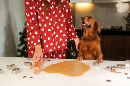 Photo for Making gingerbread for Christmas. A dog of the Golden Retriever breed stands with his front paws on the kitchen table and looks at a young woman in pajamas who is standing next to him. - Royalty Free Image