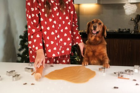 Téléchargez les photos : Une jeune femme en pyjama rouge avec des cœurs se tient à côté de son chien doré dans la cuisine sur fond d'arbre de Noël. Ils préparent des biscuits au pain d'épice pour le dîner du Nouvel An. - en image libre de droit