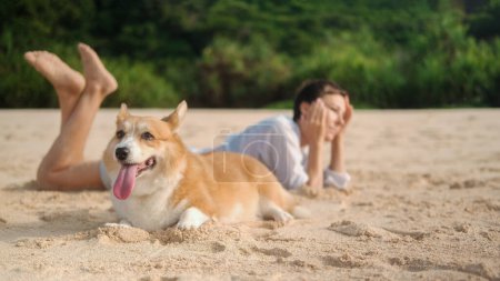 Photo for In the foreground, on a sandy beach, lies a Welsh Corgi dog with its tongue hanging out of its mouth, and in the background, a woman in a white shirt. A relaxing holiday on the beach with your dog. - Royalty Free Image