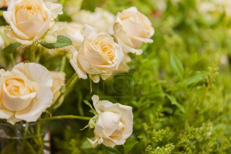 Téléchargez les photos : Roses beiges en bouquet sur fond vert. Mise au point sélective, gros plan, espace de copie. - en image libre de droit