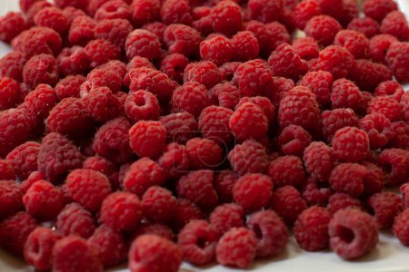 Photo for Raspberry background. Fresh red berries of ripe raspberries. Close-up. Selective focus. Top view. - Royalty Free Image
