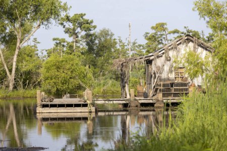 Photo for Cajun cabin in a Louisiana swamp. High quality photo - Royalty Free Image