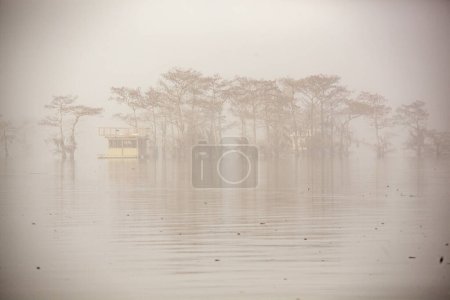 Photo for Old Cajun houseboat in the Atchafalaya Swamp Basin. High quality photo - Royalty Free Image