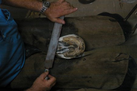 Photo for Farrier or horseshoer working on a horses hoof. High quality photo - Royalty Free Image