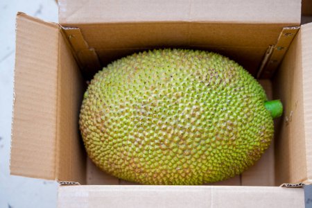 Photo for Bangladeshi jackfruit for export at Central Pack house - Royalty Free Image