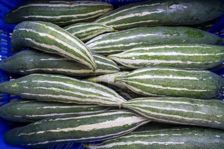 Photo for A collection of Snake gourd - Royalty Free Image