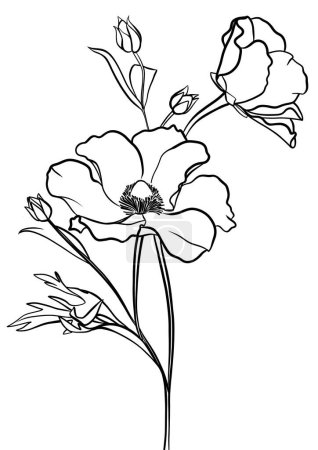 Photo for Poppies outline illustration for cards, invitations, banners, posters, print design - Royalty Free Image