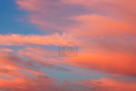 Photo for Long wispy orange cirrus clouds streamers during sunset golden hour against blue sky - Royalty Free Image